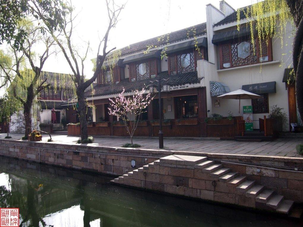 金桔别直接吃，这个做法化痰止咳，泡水喝！